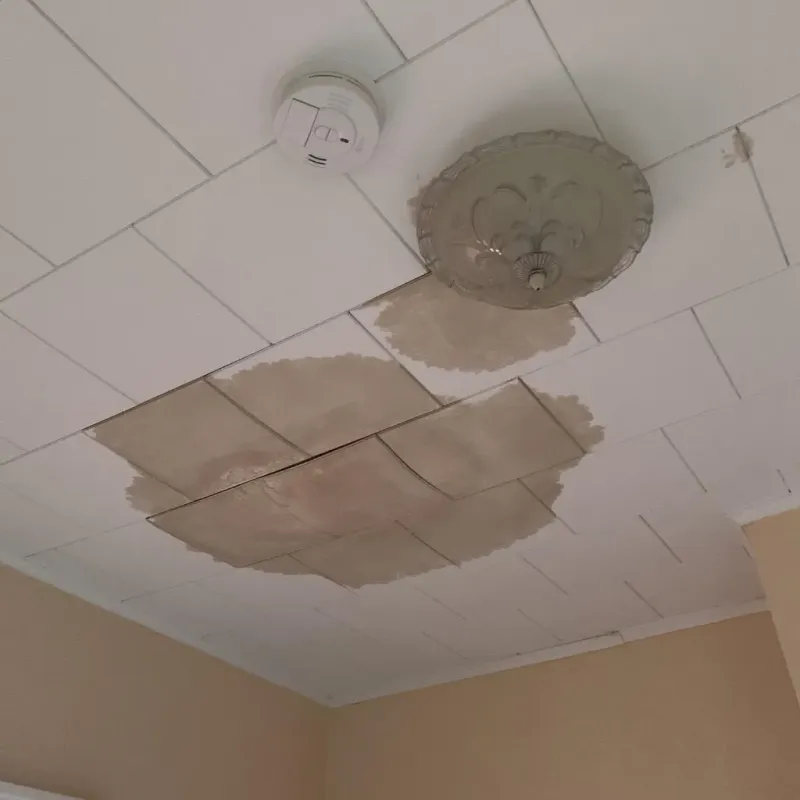 Ceiling Water Damage Repair in Marlin, TX