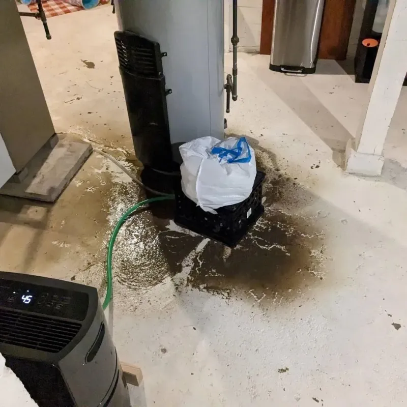 Sewage Backup Cleanup Service in Marlin, TX